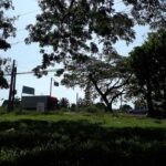 The Unpardonable Sin